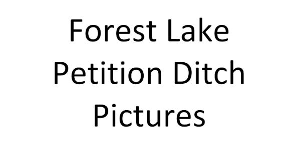 Forest Lake Petition Ditch Pictures